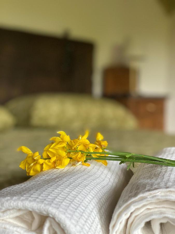 Bed and Breakfast Cascina Boschetto Saliceto Exterior foto