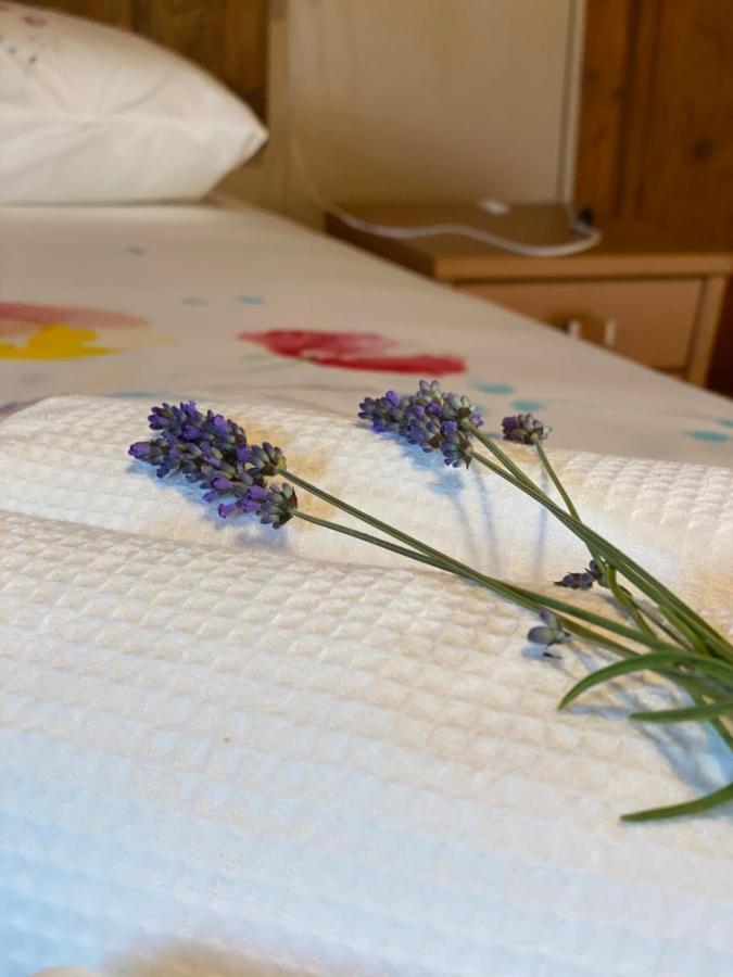 Bed and Breakfast Cascina Boschetto Saliceto Exterior foto