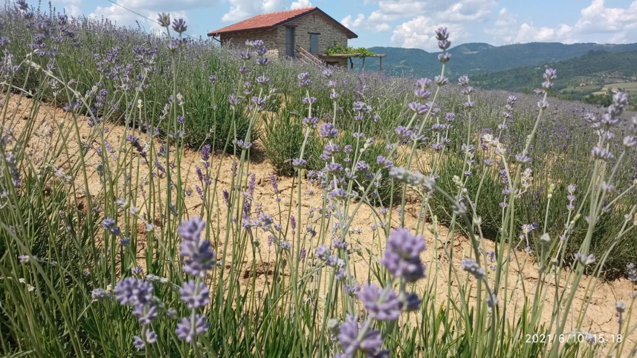 Bed and Breakfast Cascina Boschetto Saliceto Exterior foto