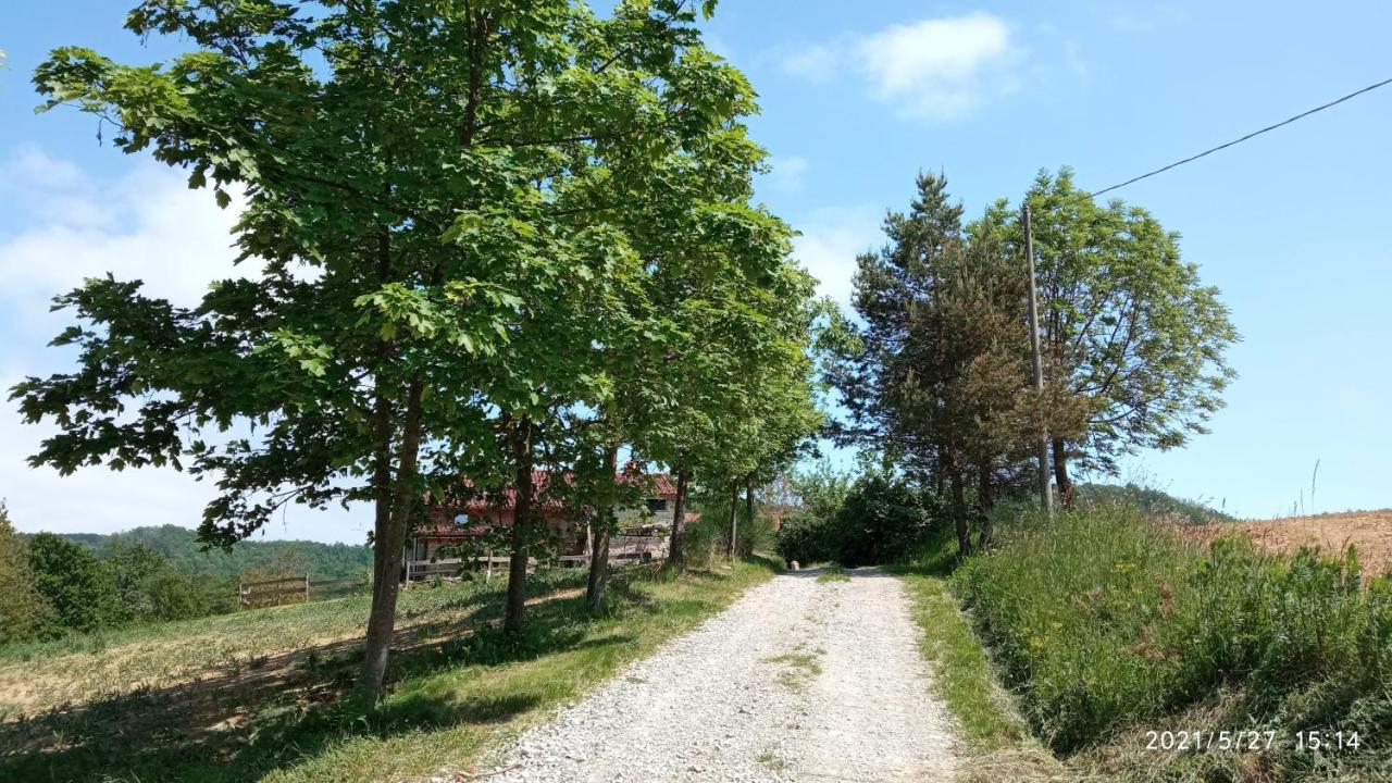 Bed and Breakfast Cascina Boschetto Saliceto Exterior foto