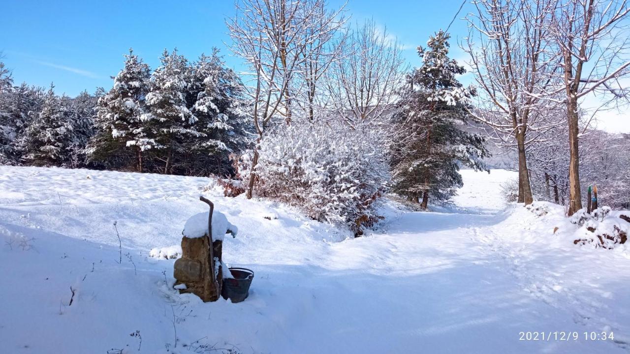 Bed and Breakfast Cascina Boschetto Saliceto Exterior foto