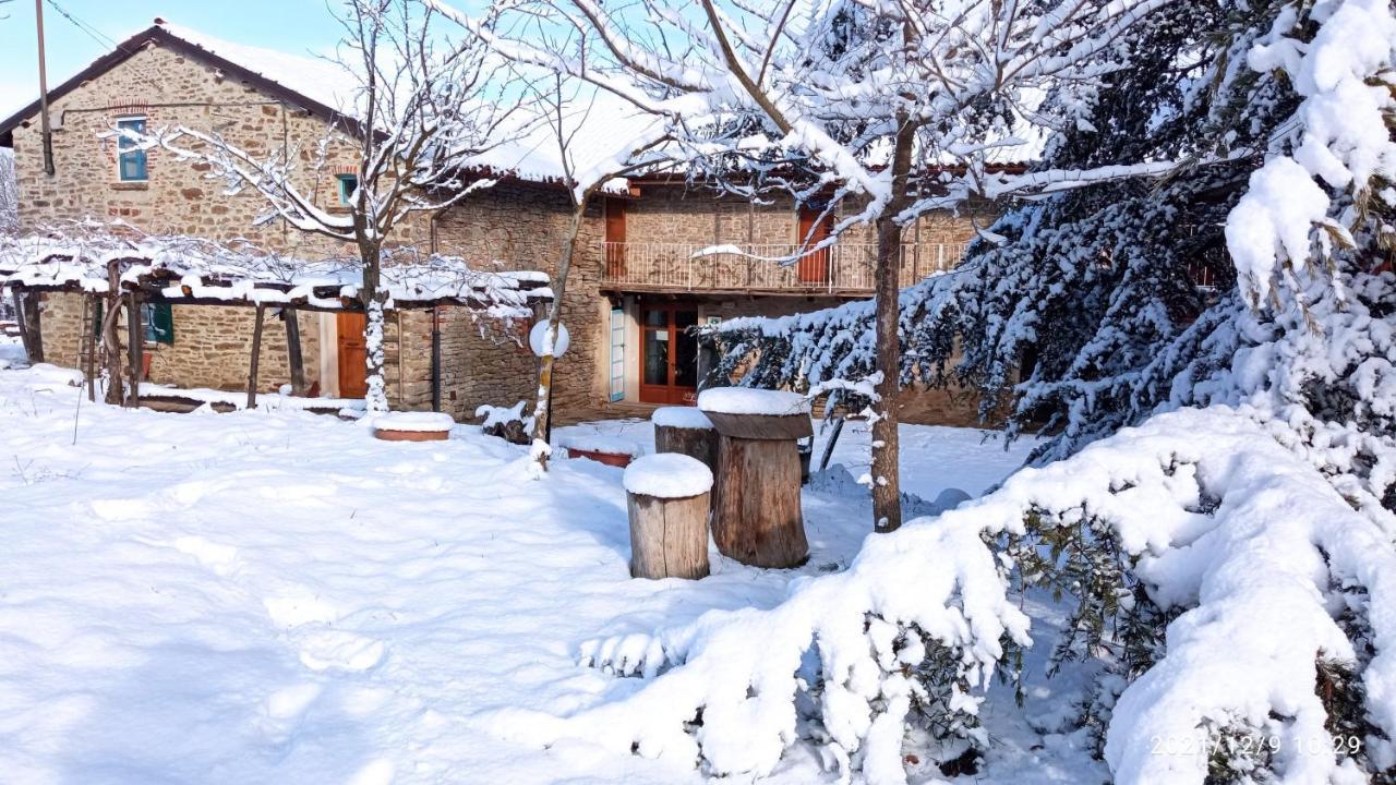Bed and Breakfast Cascina Boschetto Saliceto Exterior foto