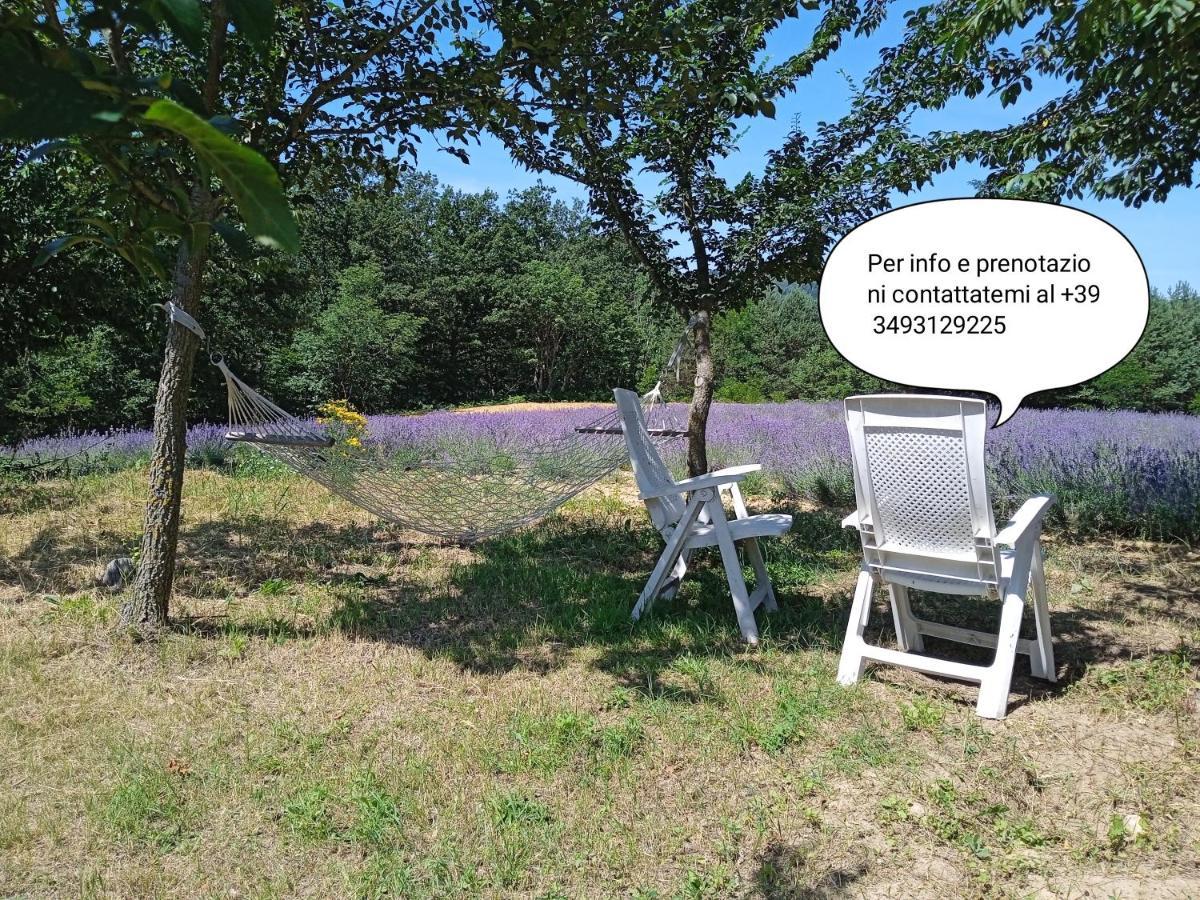 Bed and Breakfast Cascina Boschetto Saliceto Exterior foto